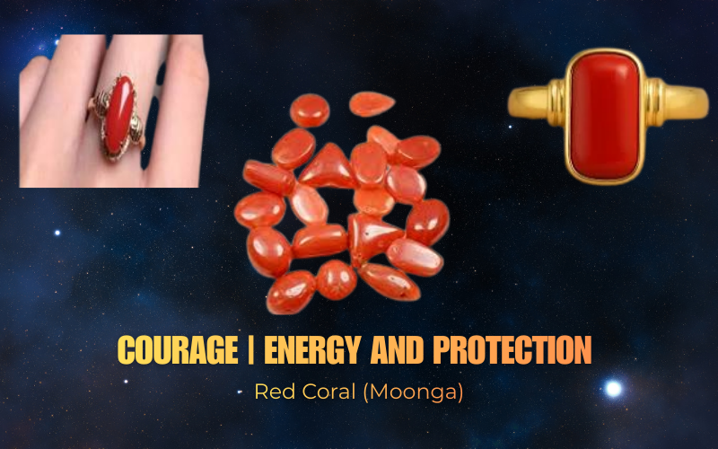 Red Coral (Moonga)